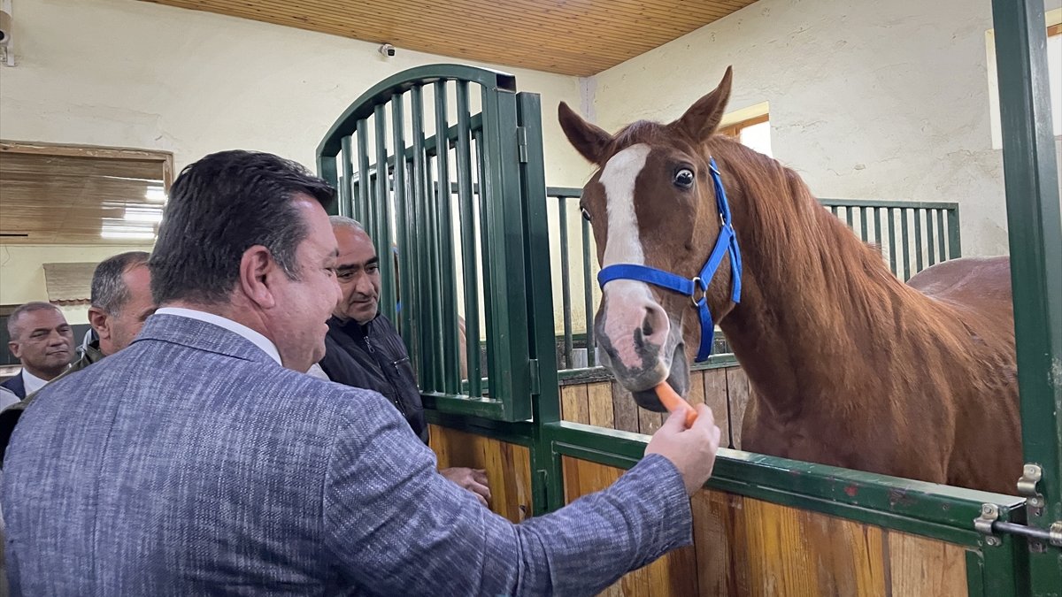 TİGEM'in atçılık geliri 100 milyon liraya ulaştı