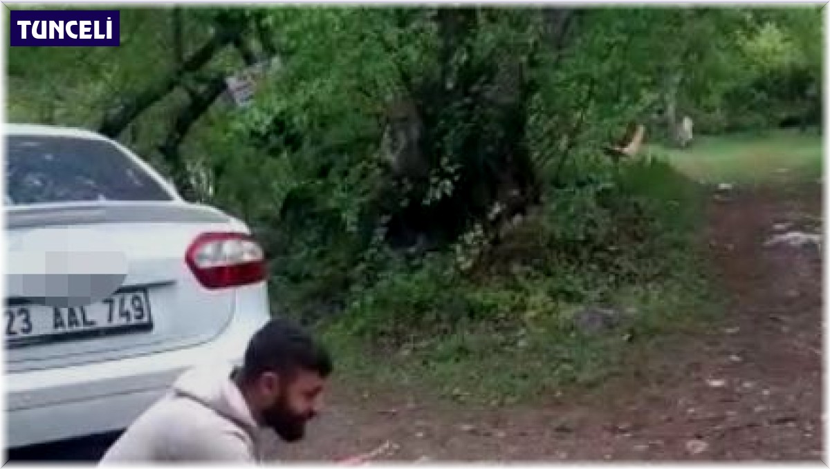 Tilkiye kraker yediren vatandaşın gülümseten anları