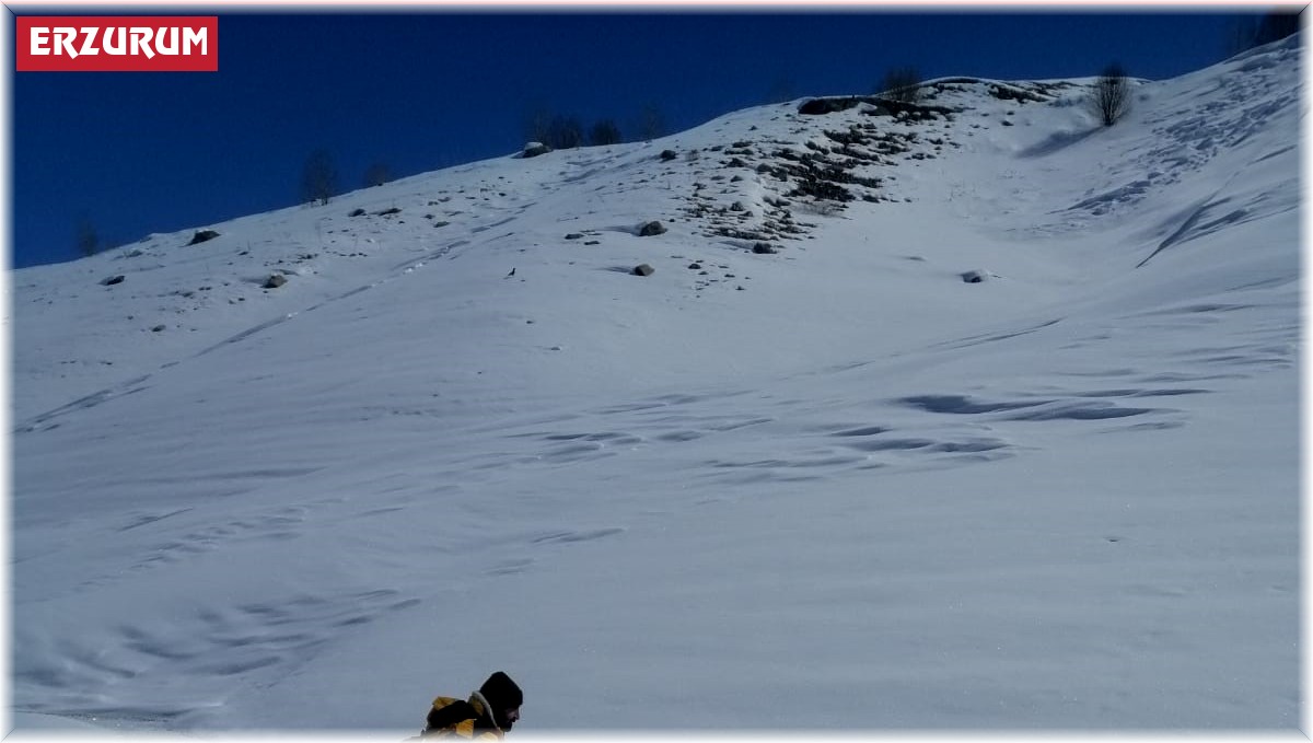 Tilkiyi tuttukları balıkla beslediler