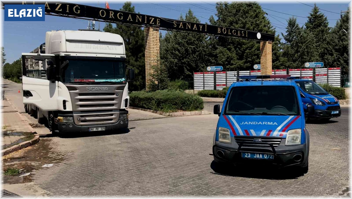 Tır şoförü direksiyon başında ölü bulundu