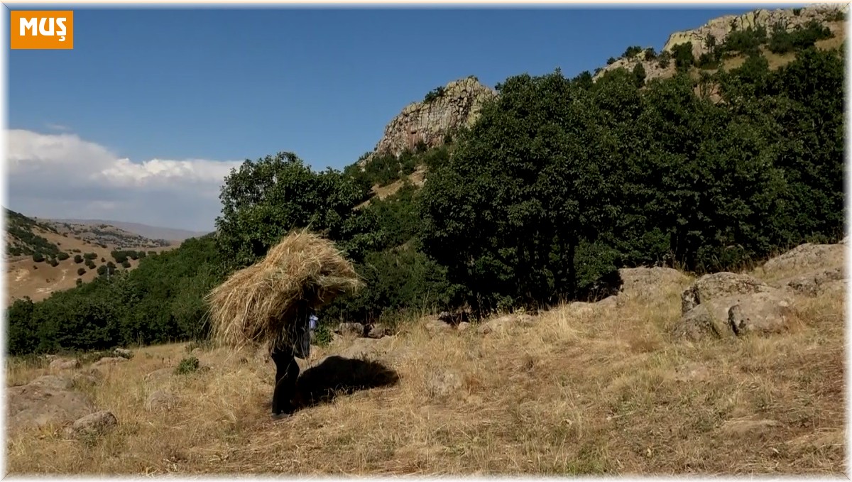 Tırpan ile biçtikleri otları 1 kilometre sırtlarında taşıyarak kışa hazırlık yapıyorlar