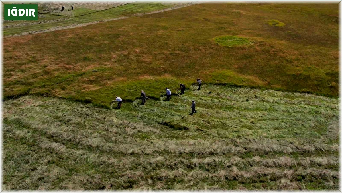 Tırpan ile ot biçme havadan görüntülendi