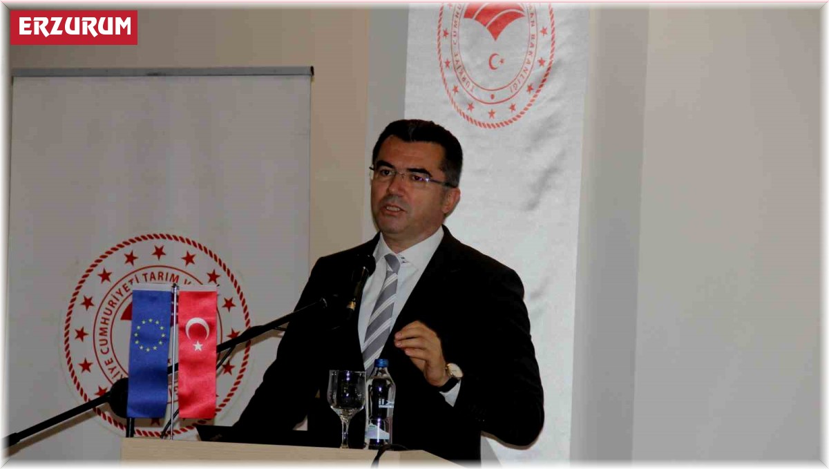 TKDK'den 275 projeye 615 milyon destek