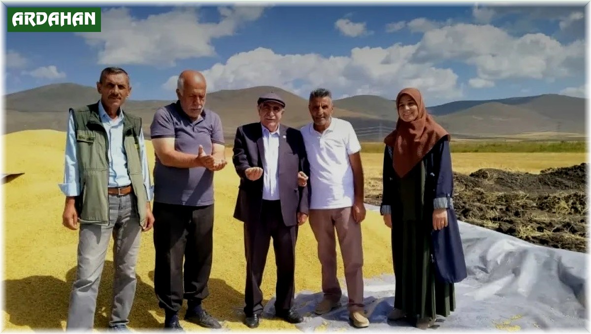 TMO Ardahan'da ilk kez hububat alıma başladı