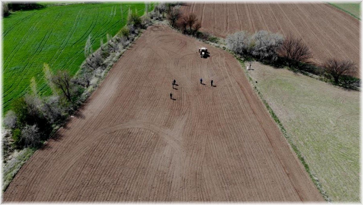 TMO hububat alım fiyatları güncellendi