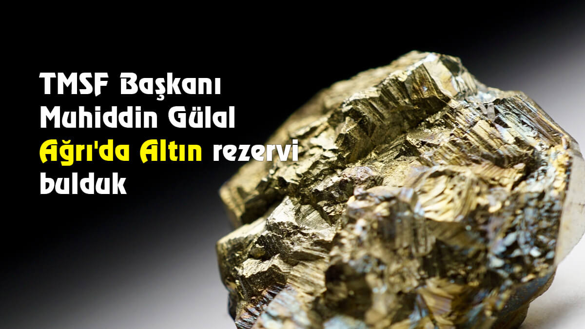 TMSF Başkanı Muhiddin Gülal: Ağrı'da Altın rezervi bulduk
