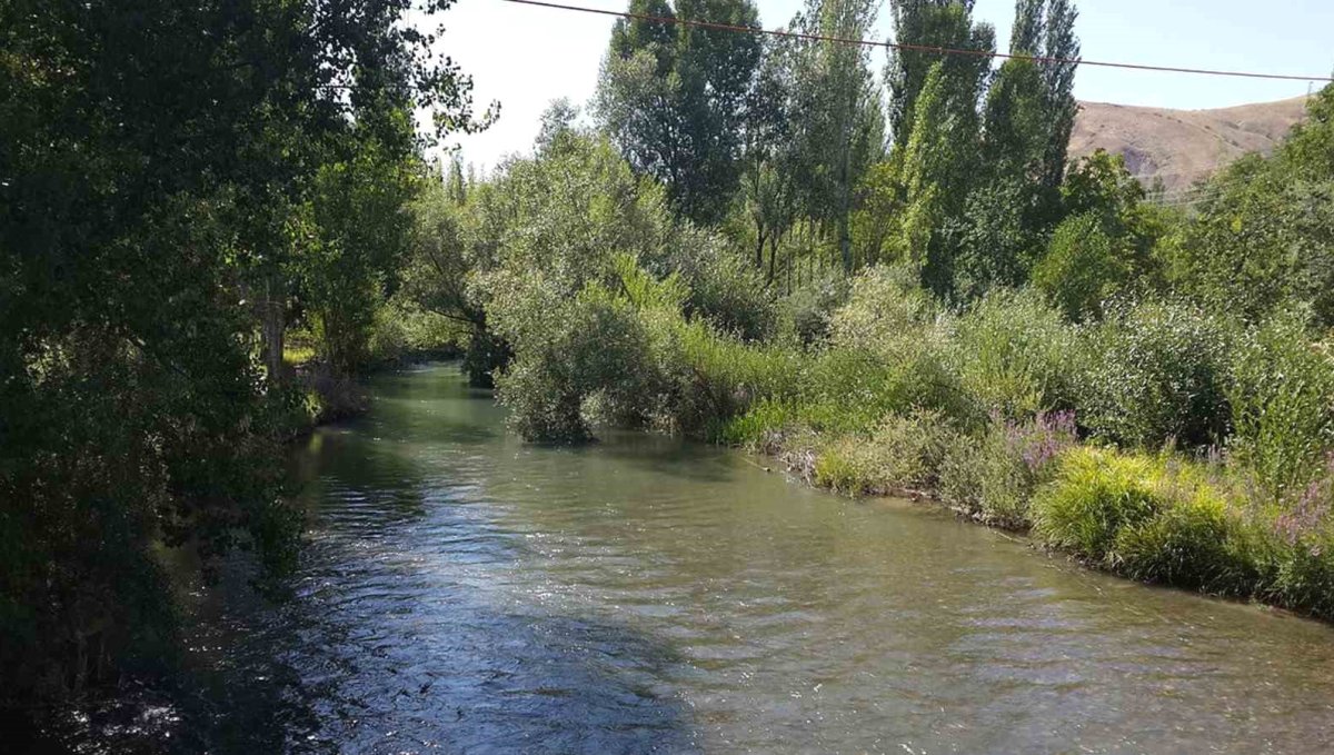 Tohma Çayı'nın ekolojik sağlığı bilimsel olarak ortaya kondu