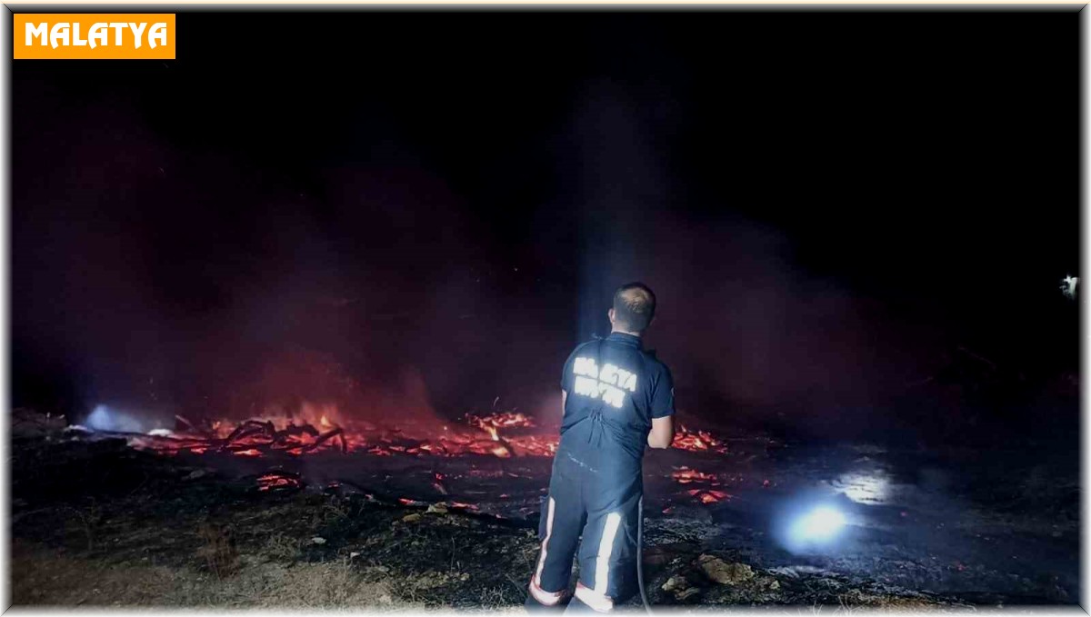 Tonlarca kayısı odunu yangında kül oldu