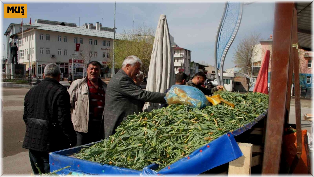 Topladıkları bitkileri satarak geçimlerini sağlıyorlar