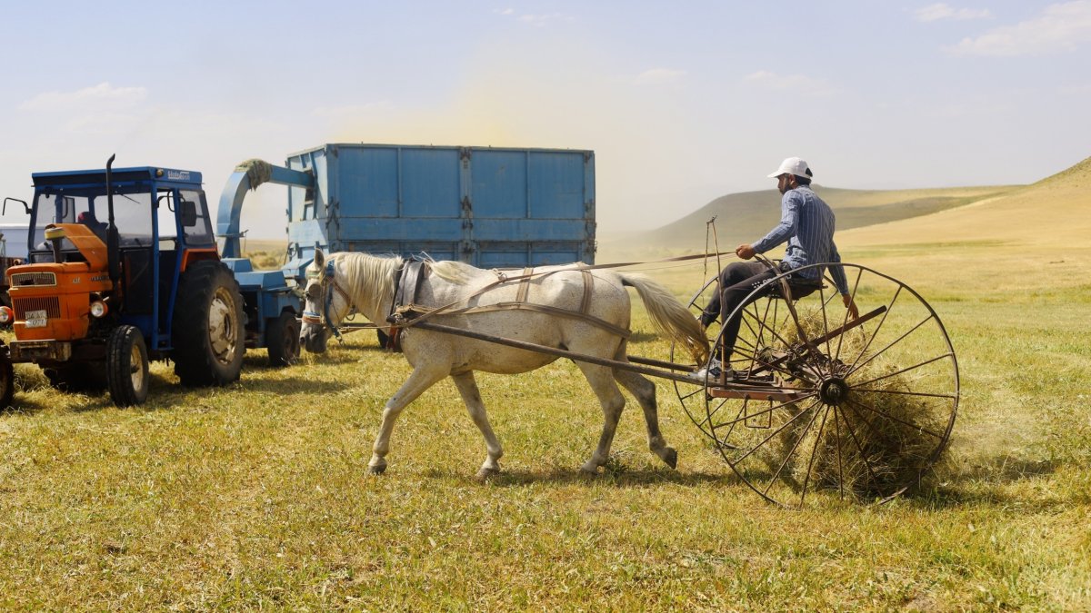 Toprağın emekçileri kavurucu sıcaklar altında ter döküyor