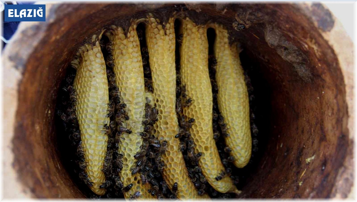 Toprak kovanda üretilen bal büyük ilgi görüyor