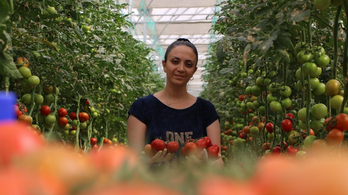 Topraksız tarım hem kadınlara iş kapısı oldu, hem de yılın 10 ayında üretim yapılmaya başlandı