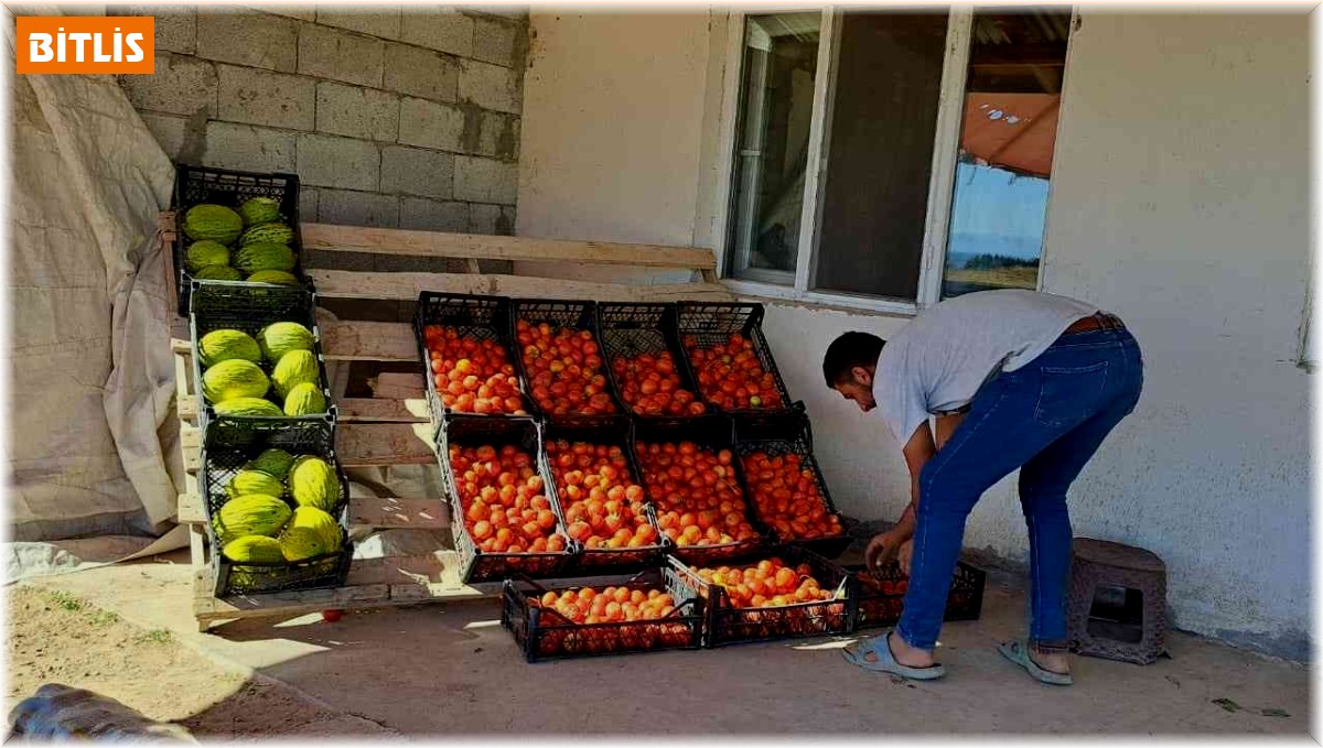 Topraktan gelen bereket