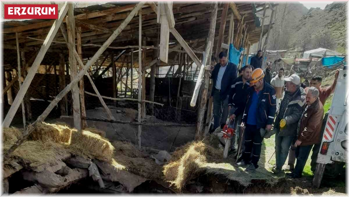 Tortum'da ahır çöktü