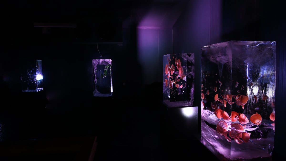 Trafik kazasında kaybettiği teyzesinin çeyizindeki porselen tabakları buz müzesinde sergiliyor