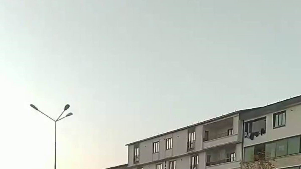 Trafik polisinden yürek ısıtan davranış: Köpeğin geçmesi için trafiği durdurdu