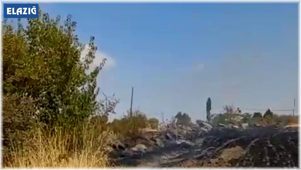 Trafodan çıkan kıvılcım otluk alanı tutuşturdu