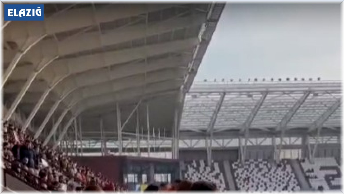 Tribünde evlilik teklifi