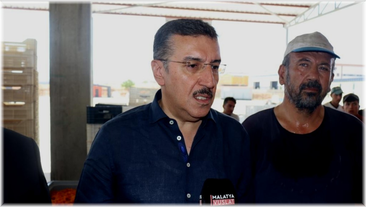 Tüfenkci'den kayısı üretimi vurgusu