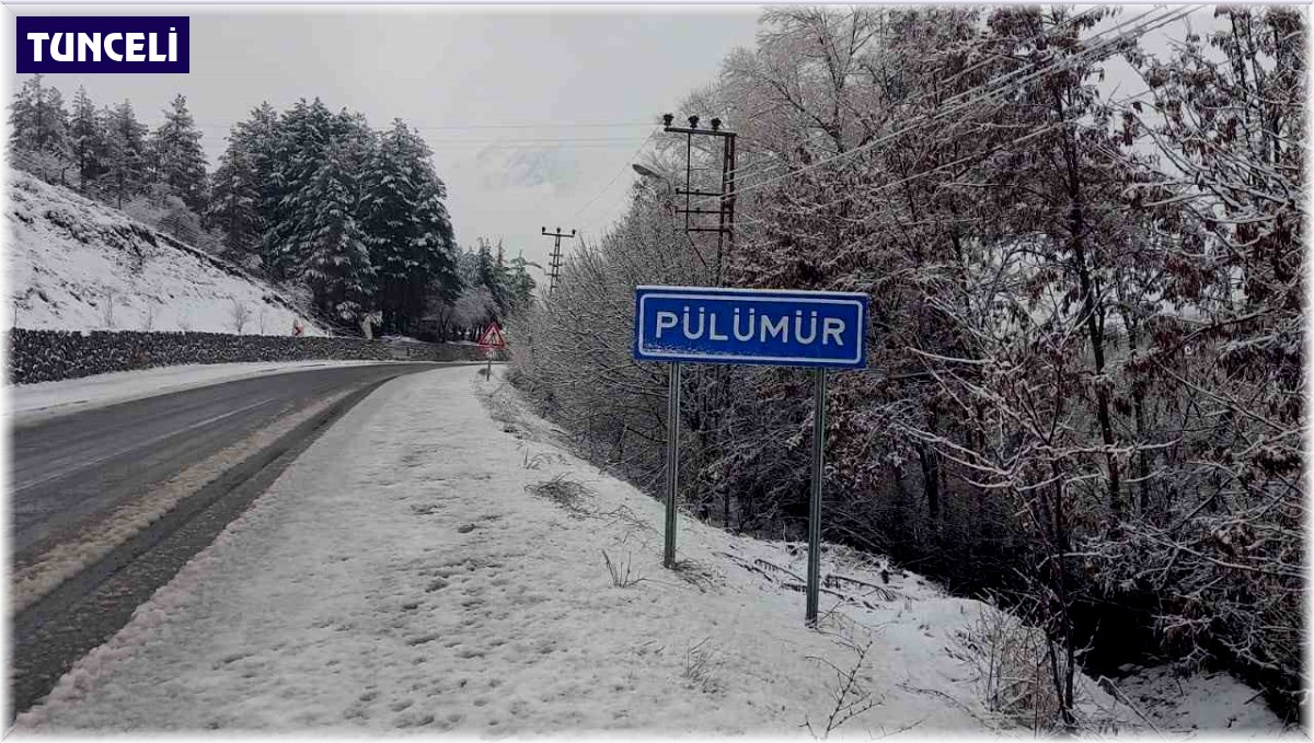 Tunceli 'beyaz' güne uyandı