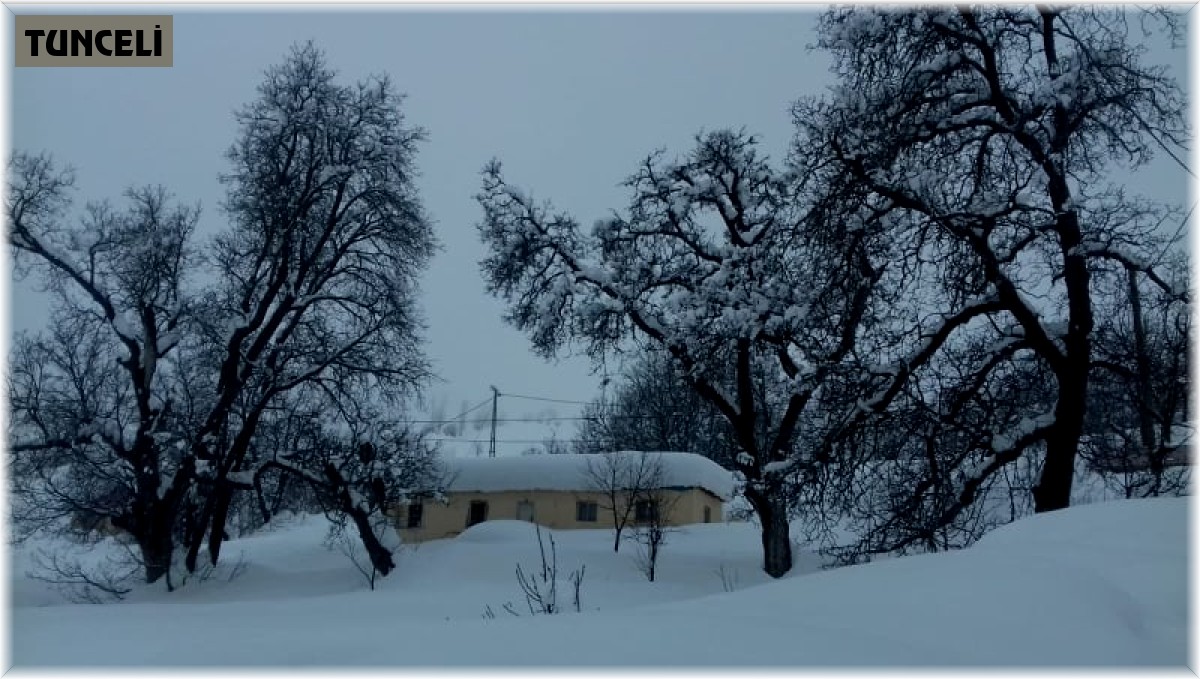 Tunceli'de 151 köy yolunda karla mücadele sürüyor
