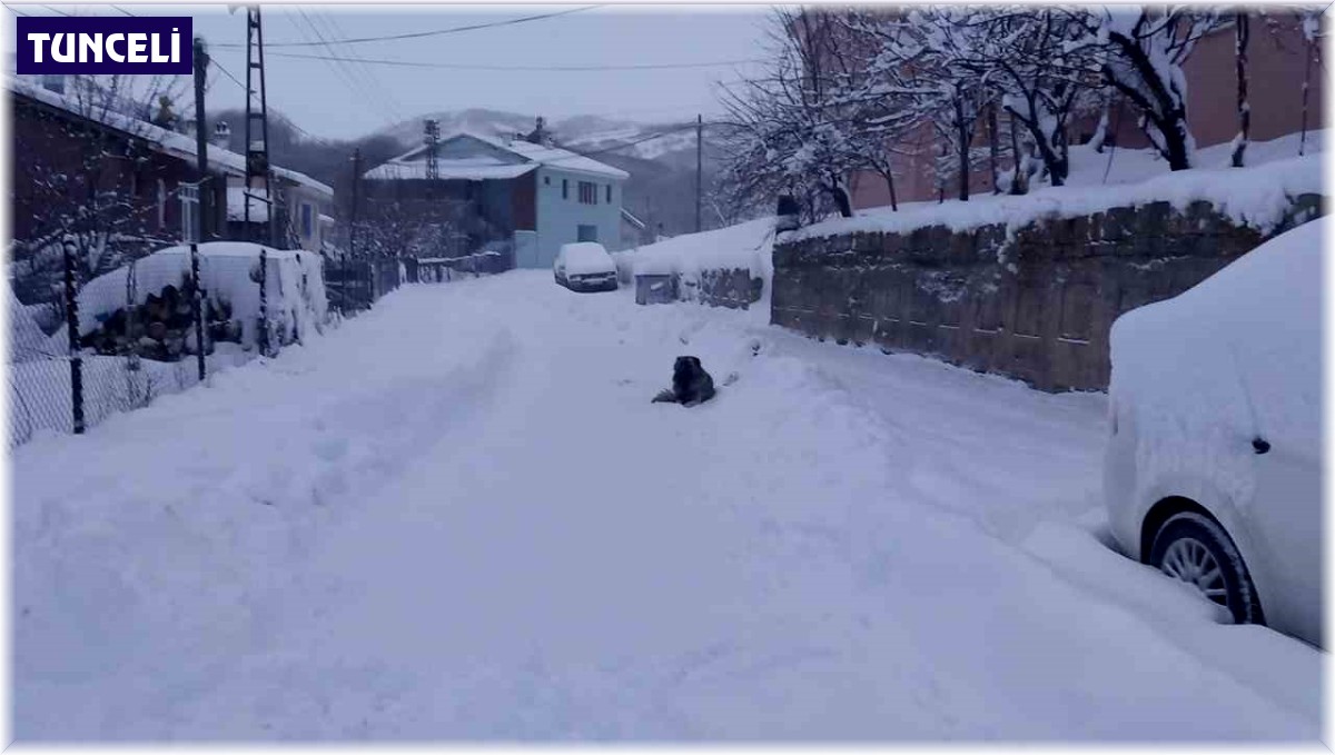 Tunceli'de 251 köy yolu ulaşıma kapandı