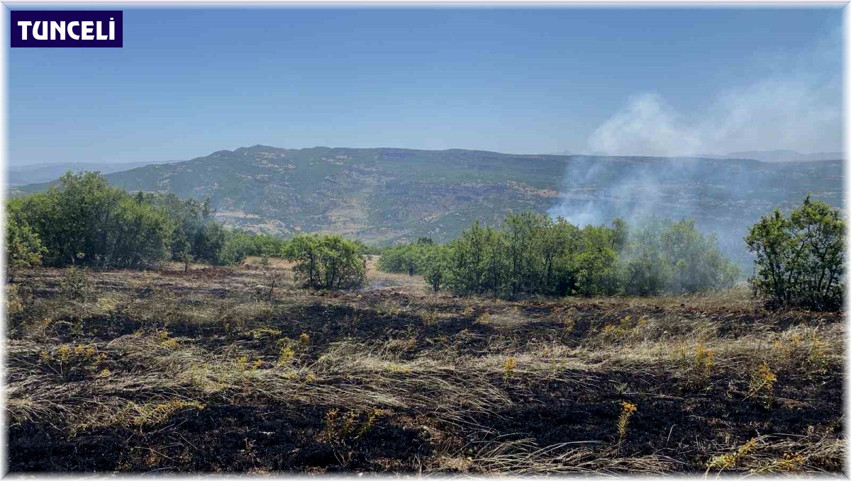 Tunceli'de 3 ayrı bölgede çıkan yangınlardan 2'si söndürüldü, 1'ine müdahale sürüyor