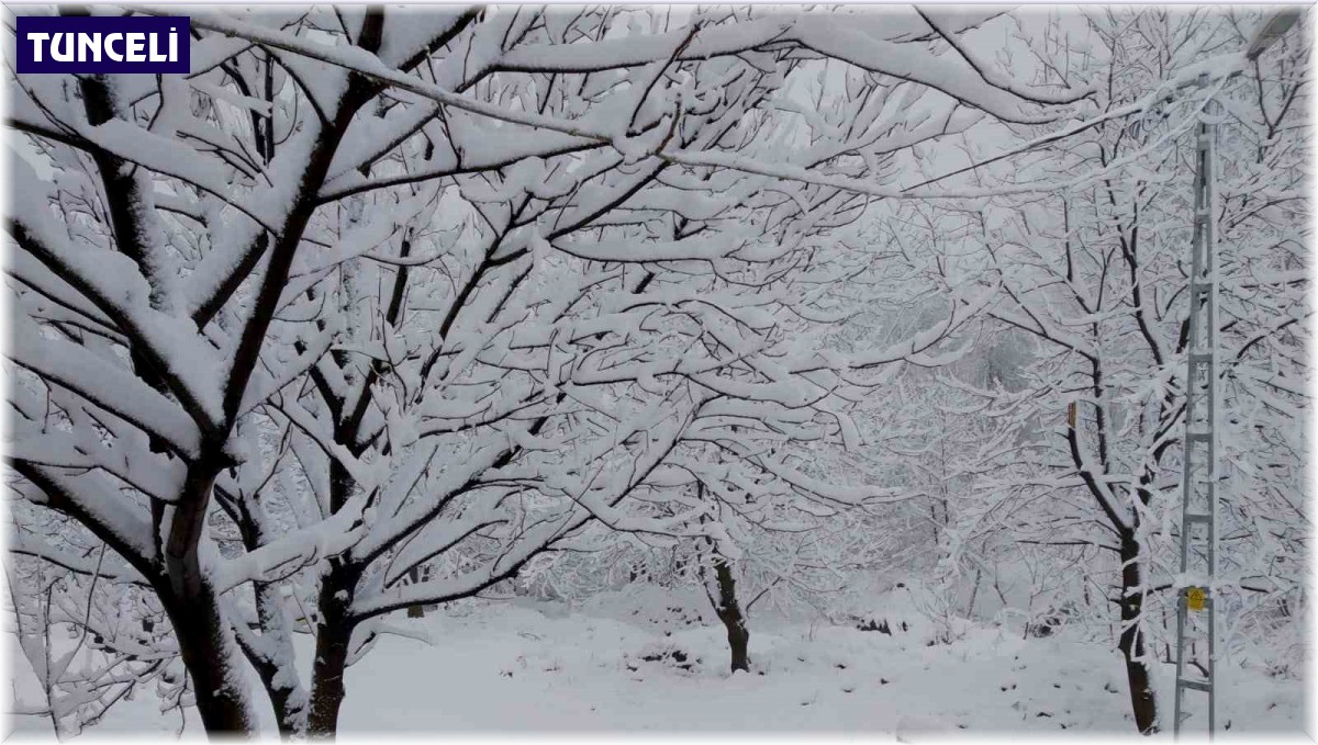 Tunceli'de 8 Nisan'da 20 santimlik kar sürprizi
