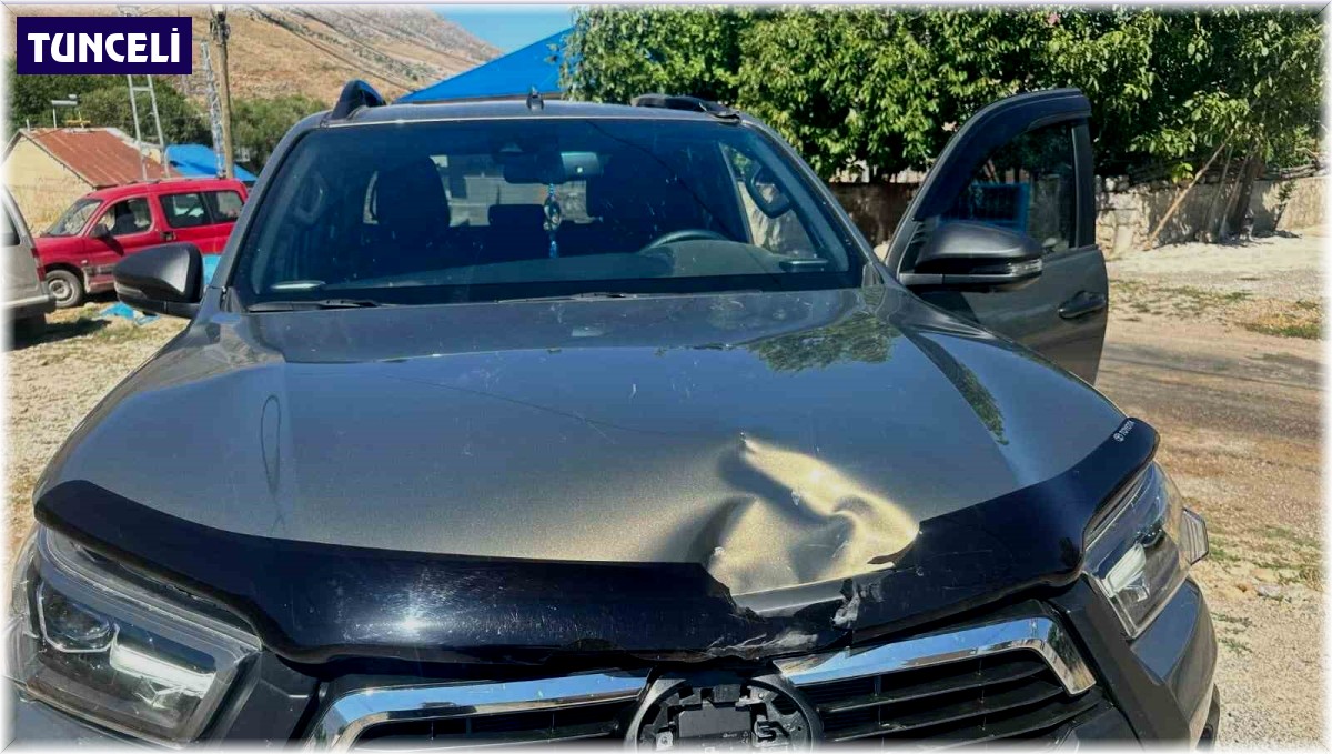 Tunceli'de ağaç, seyir halindeki aracın üzerine devrildi