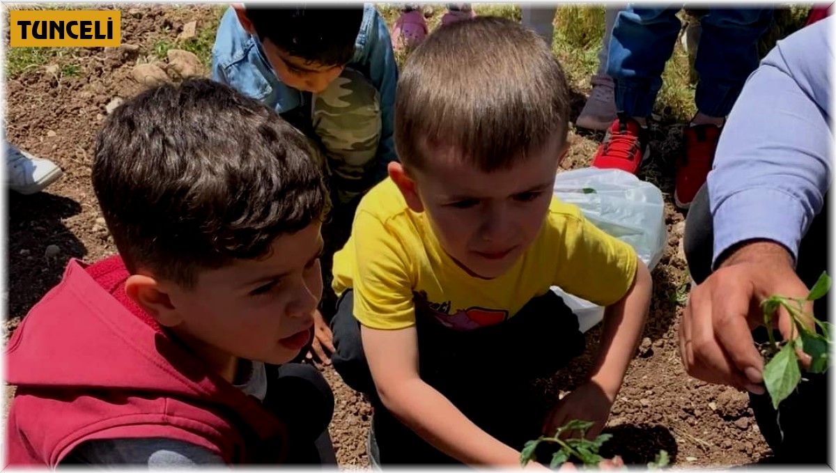 Tunceli'de anaokulu öğrencileri hobi bahçesi oluşturdu