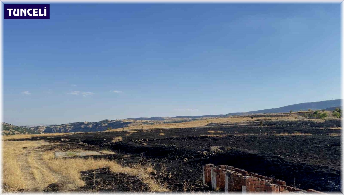 Tunceli'de arazi yangını