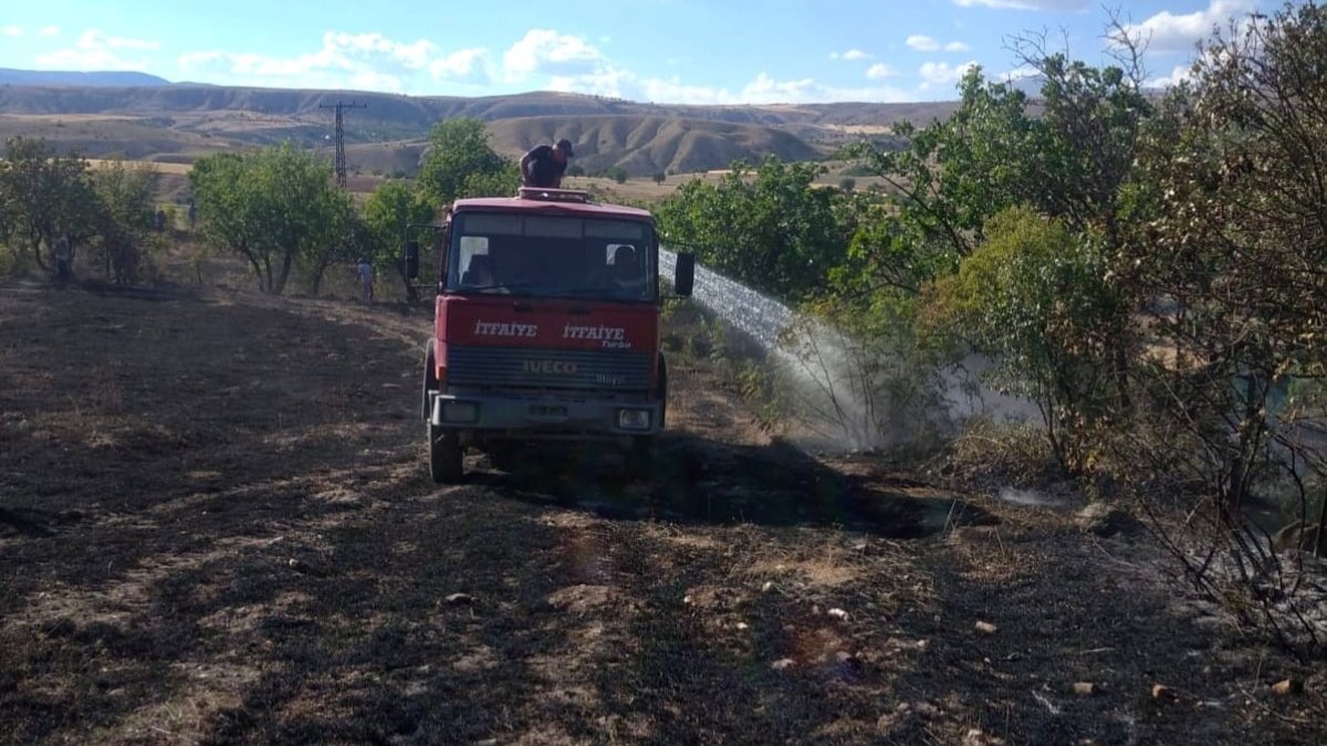 Tunceli'de arazi yangını