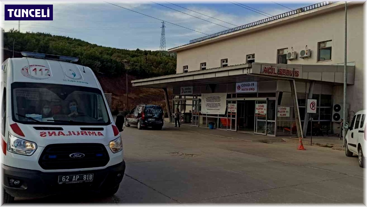 Tunceli'de arıların soktuğu adam hayatını kaybetti