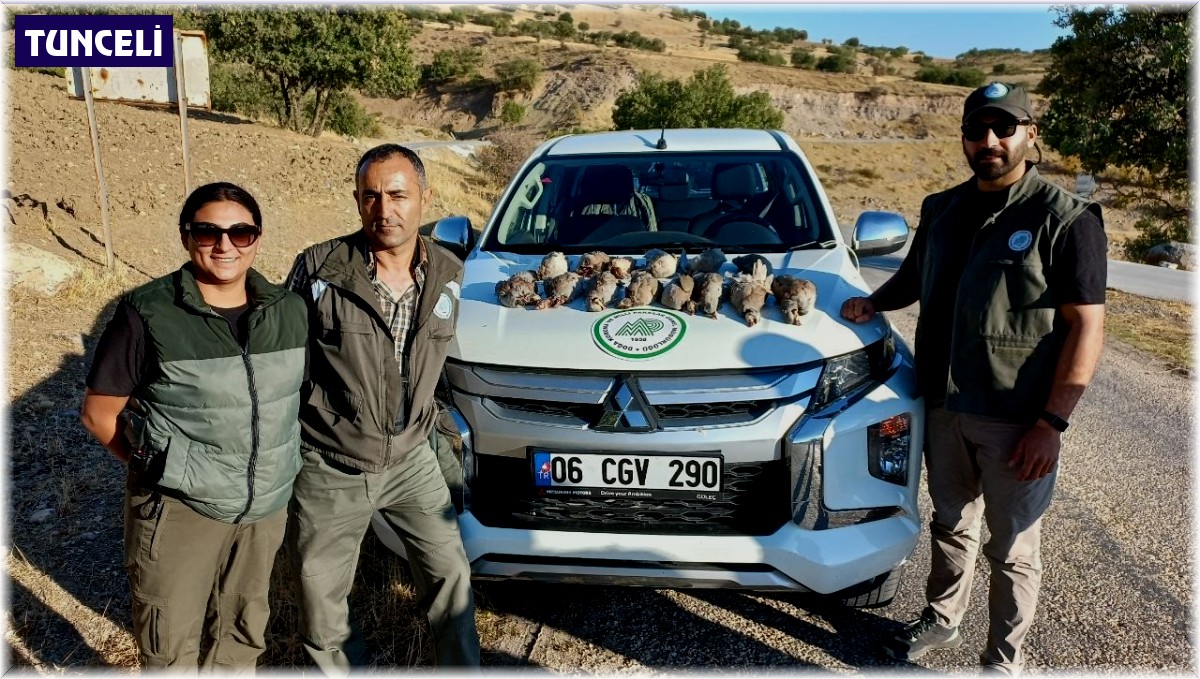 Tunceli'de avlanma ihlali gerçekleştiren 5 kişi hakkında işlem başlatıldı