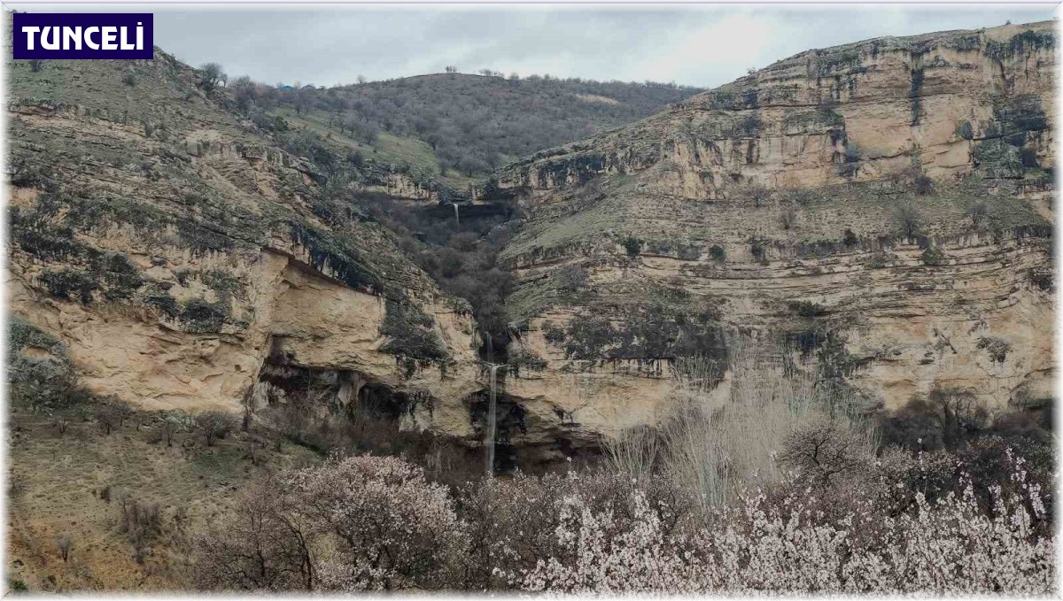 Tunceli'de bereketi simgeleyen Kişnikar şelalesi akmaya başladı