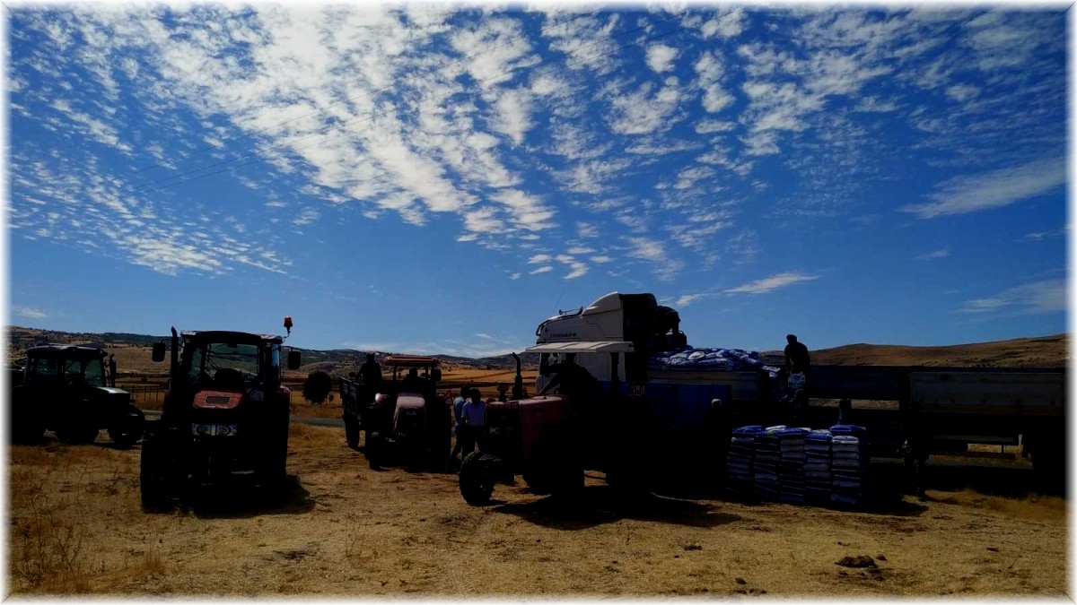 Tunceli'de bin 500 dekarlık alanda karma yem tohumluğu ekilecek