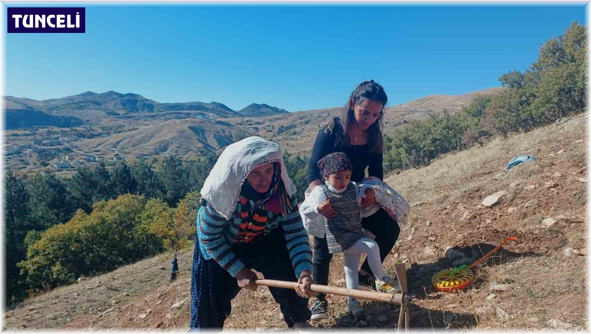 Tunceli'de bin meşe palamudu toprakla buluşturuldu