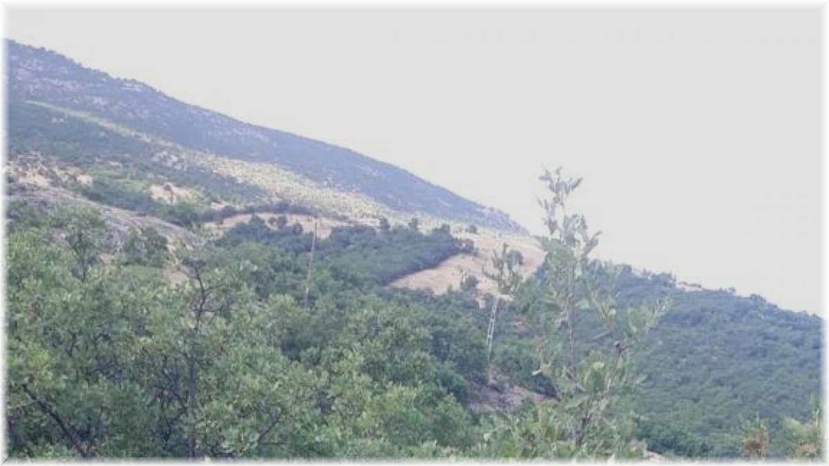 Tunceli'de bir köy daha suya kavuştu