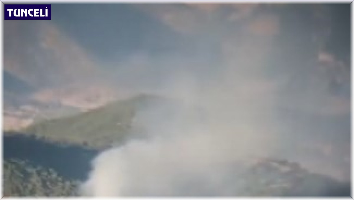 Tunceli'de çıkan orman yangını kontrol altına alındı