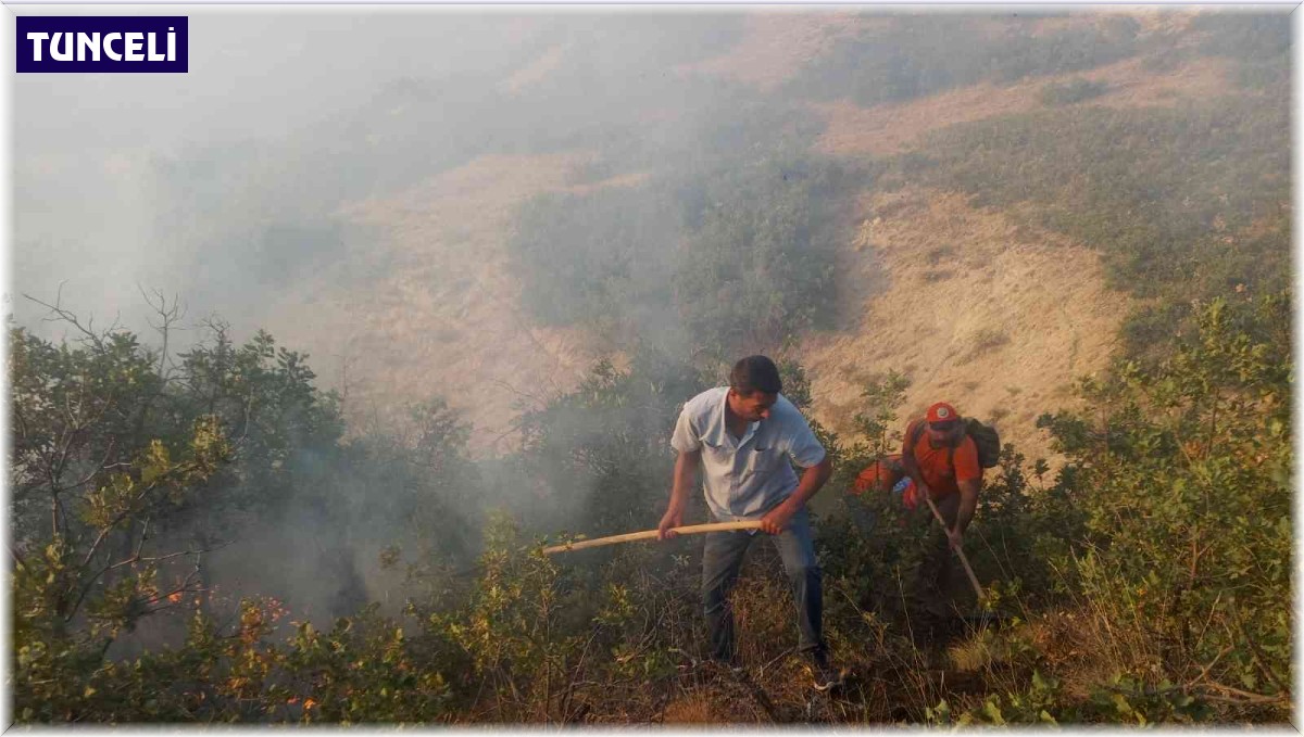 Tunceli'de çıkan örtü yangınına müdahale sürüyor