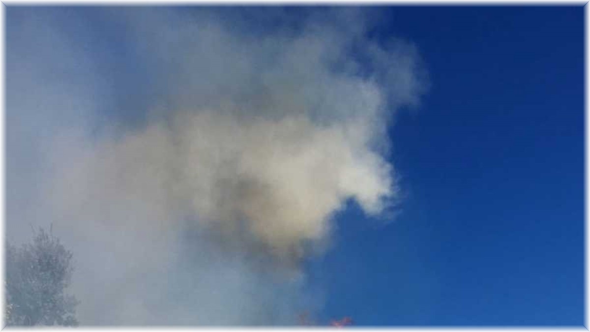 Tunceli'de çıkan yangın kontrol altına alındı