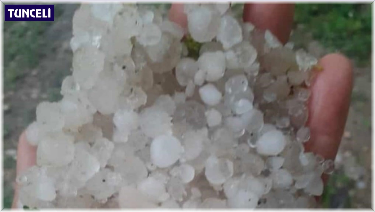 Tunceli'de dolu hayatı olumsuz etkiledi