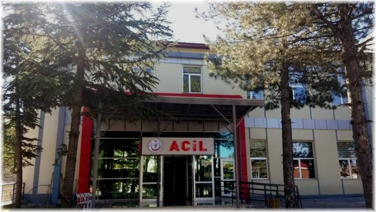 Tunceli'de domuzun saldırdığı vatandaş ağır yaralandı