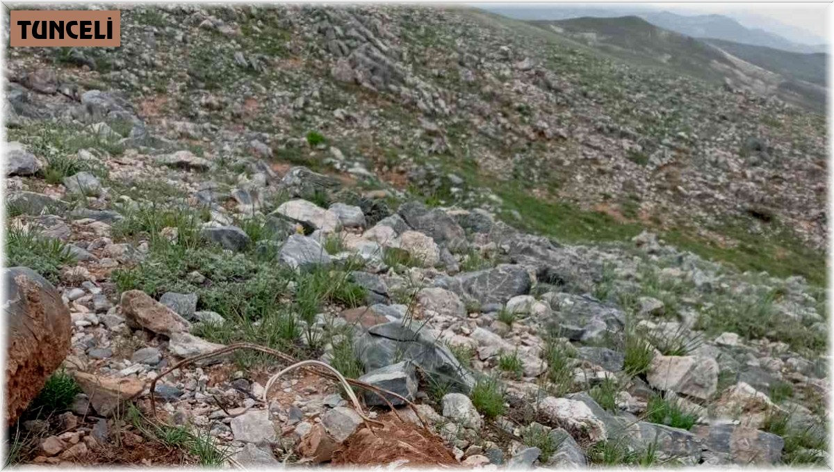 Tunceli'de EYP imha edildi