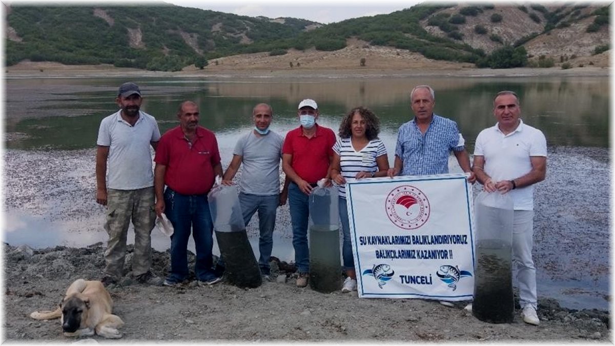 Tunceli'de Günboğazı Göletine 100 bin pullu sazan yavrusu bırakıldı