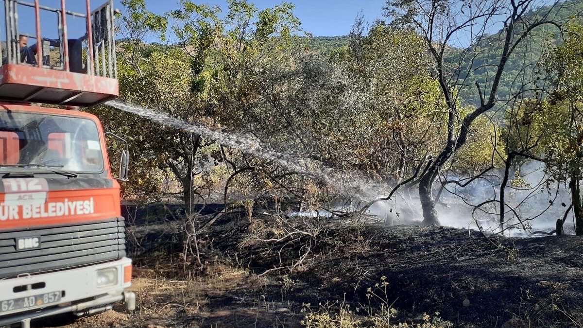 Tunceli'de iki köyde çıkan örtü yangınları söndürüldü