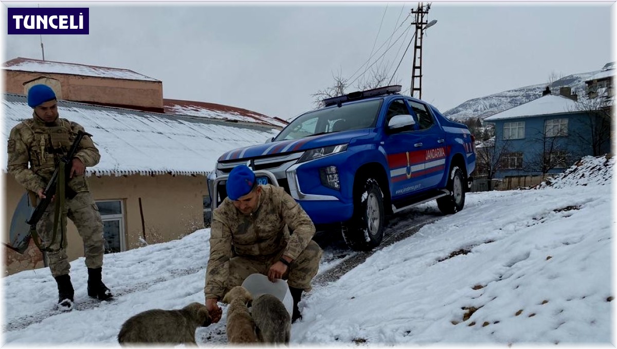 Tunceli'de jandarmadan yürekleri ısıtan davranış