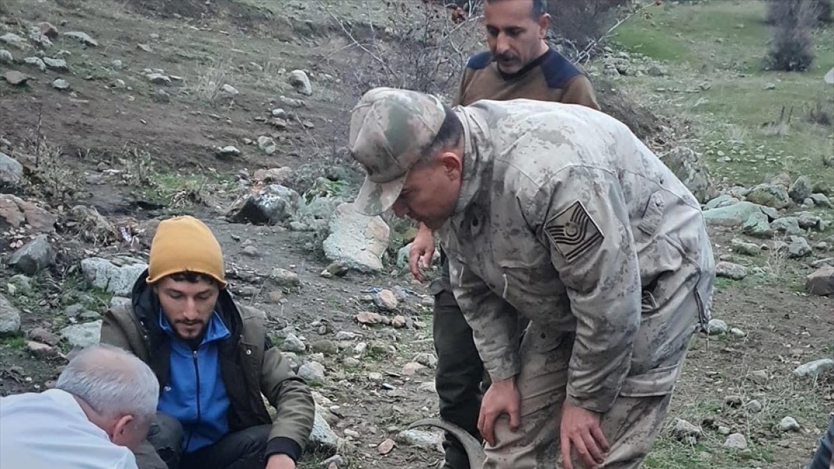 Tunceli'de jandarmanın yaralı bulduğu yaban keçisi tedaviye alındı