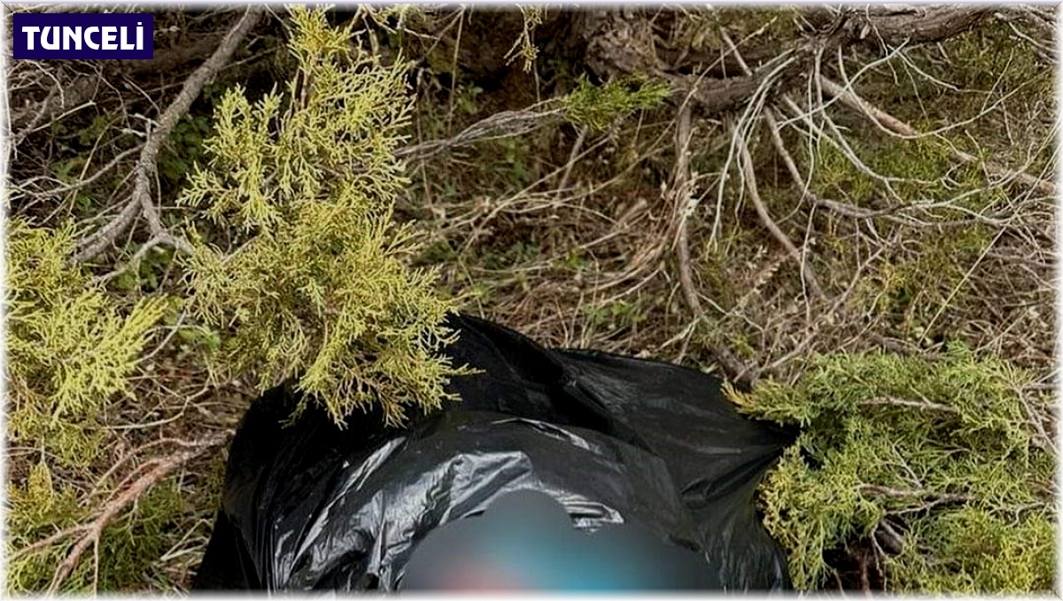 Tunceli'de kaçak avcılık yapan 2 şahsa 308 bin lira ceza kesildi