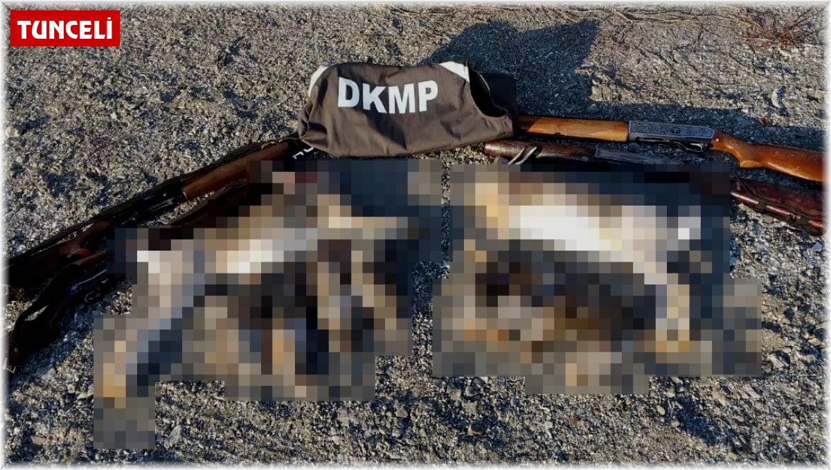 Tunceli'de kaçak avlanan 5 kişiye ceza kesildi